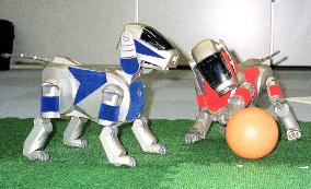 Robot dogs train for int'l robot soccer meet